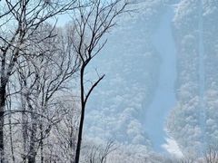 -中旅松花湖滑雪场