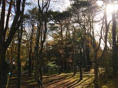 景点-轻井泽高原教堂