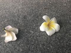 -山顶顶概念四川菜(黄埔大道店)