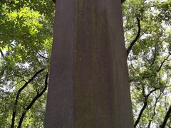 -宁波市保国寺古建筑博物馆