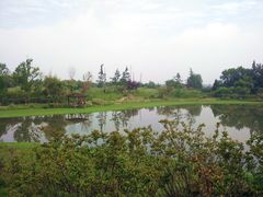 -桤木河湿地公园