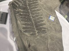 -大同煤炭博物馆