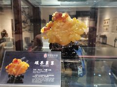 -中华赏石园