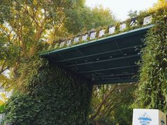 -华侨城湿地公园