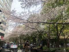 -玛格萝妮比萨屋(四平店)