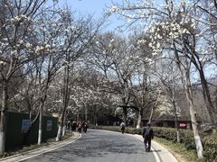 -音乐台