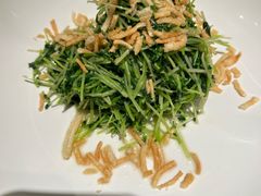 -紫光园烤鸭(前门大栅栏店)