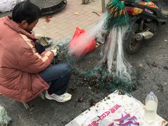 -乐天拉面(桃花街店)