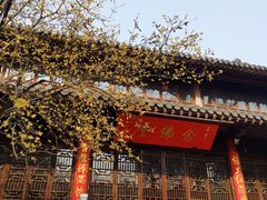 -灵谷景区