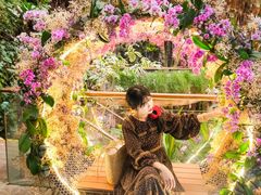 -正佳雨林生态植物园