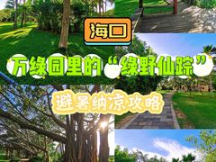 -万绿园