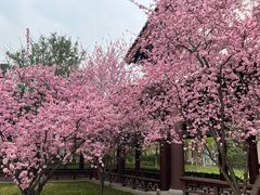 -狼山风景名胜区