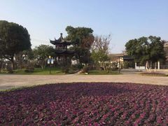 -梁鸿国家湿地公园