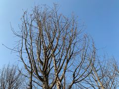 -白鹭湾湿地公园