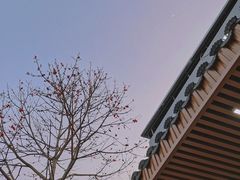 -黎记大排档(慈云路店)
