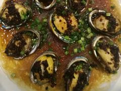 -金龙渔港(双楠店)