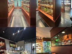 -帕帕拉兹宠物(亚洲旗舰店)