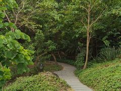 -厦门悦华酒店
