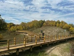 -塞罕坝国家级自然保护区