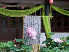 -厦门园林博览苑