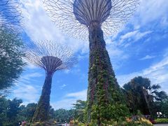 -新加坡文华东方酒店