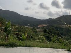 -锄山村