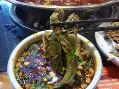 -小饕荟雅安贡椒鱼鲜馆(广福桥店)