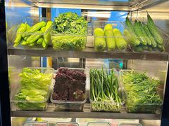 -纯肴大东北(新城北街店)