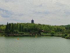 -宜兴龙背山森林公园
