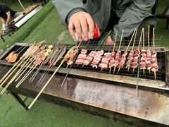 -尚庄度假村·庭台树下·户外烧烤·团建CS·轰趴营地(上庄水库店)