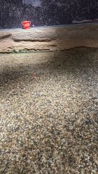 -造物庄园 萌宠纪(苏州湾歌林公园店)