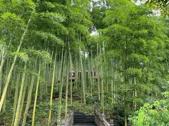 -莫干山风景区
