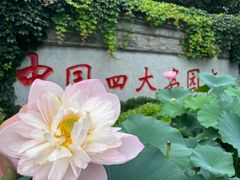 -个园