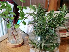 -ZING COFFEE 镜咖啡