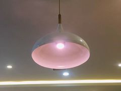 -龙梅肥肠鱼(明瓦廊店)