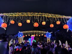 -南湖梦幻岛