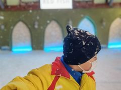 -世界之窗阿尔卑斯冰雪世界