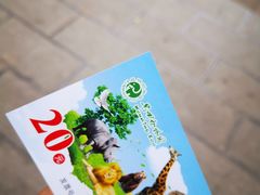 -昆明动物园