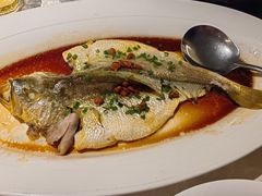 -维园悦谱·海派家常菜(乌鲁木齐南路店)