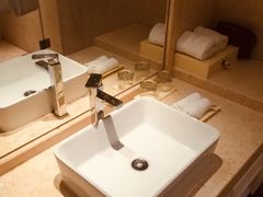 -深圳湾科技园丽雅查尔顿酒店