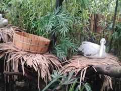 -广州长隆野生动物世界