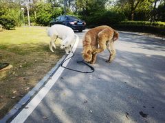 -杭州桐庐康莱德酒店西餐厅-舍