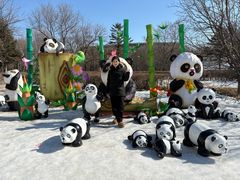 -沈阳奥体冰雪嘉年华