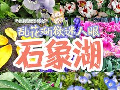 -保利石象湖景区
