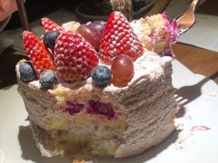 -EnergyCake蛋糕理想国