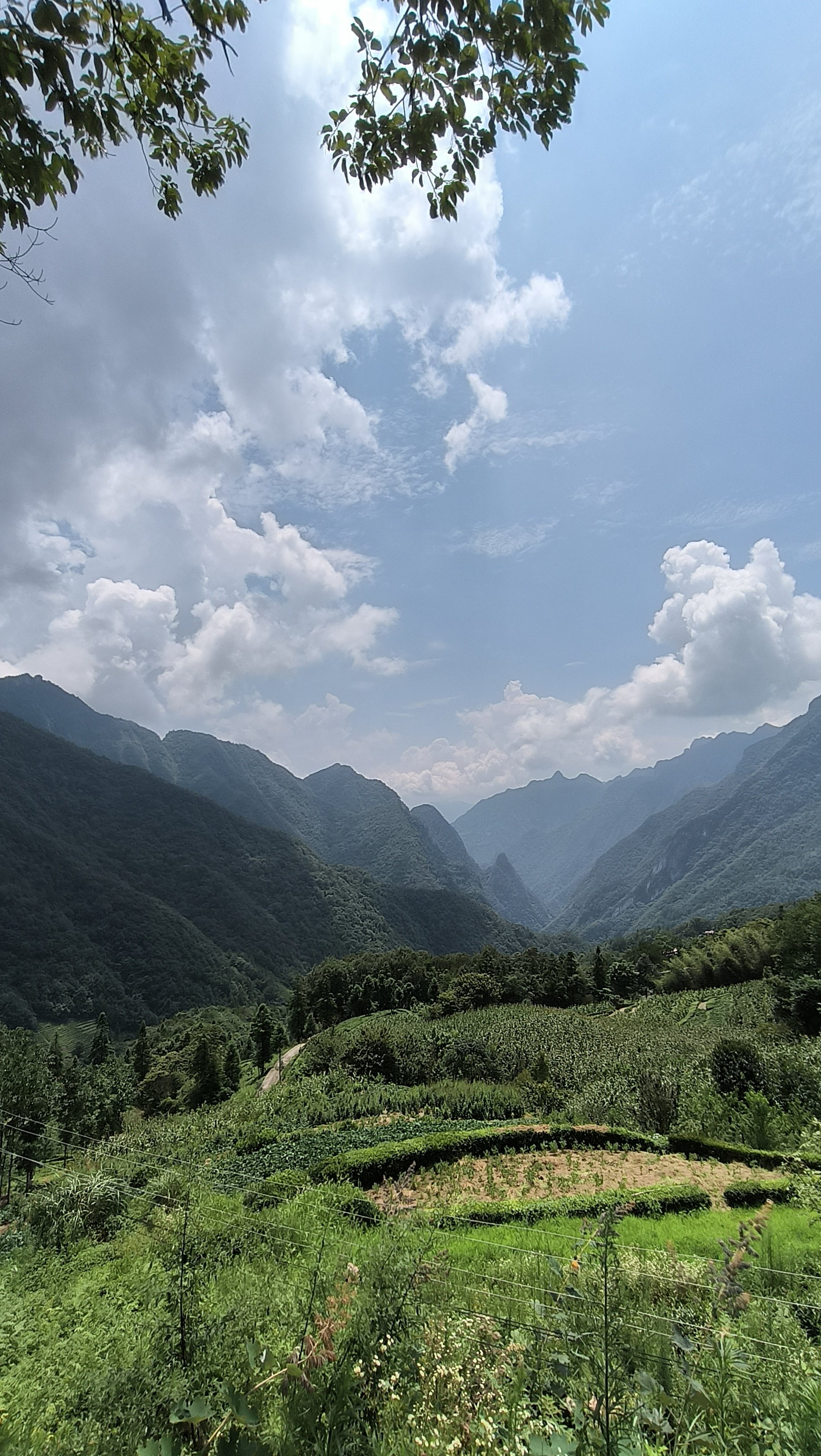 五峰后河风景区简介图片