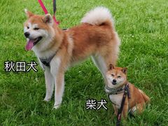 -帝京日语(春熙路旗舰校区)
