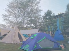 -武陵山森林公园