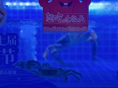 -七欣天香辣蟹火锅(无锡金太湖国际城店)