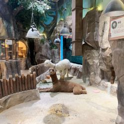 -宝燕乐园(闵行旗舰店)